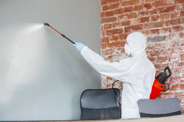 Best Airborne Mold Testing  in Gainesville, FL