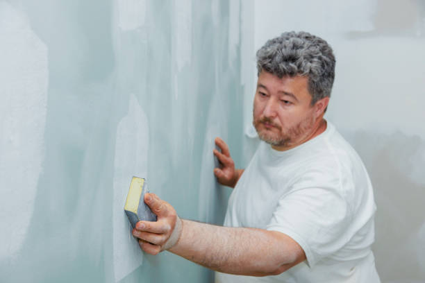 Best Mold Removal for HVAC Installations  in Gainesville, FL