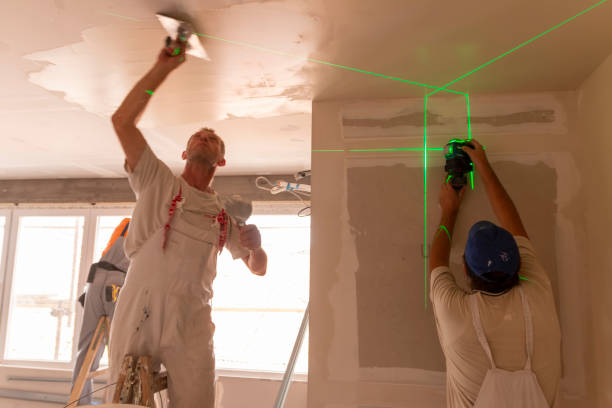 Mold Odor Removal Services in Gainesville, FL