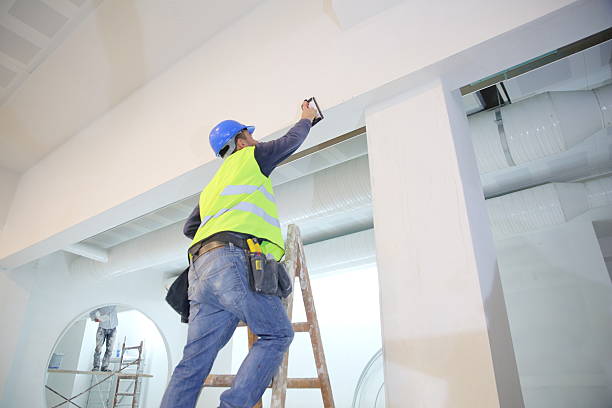 Reliable Gainesville, FL Mold Removal Solutions