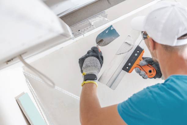 Best Mold Remediation for Healthcare Facilities  in Gainesville, FL